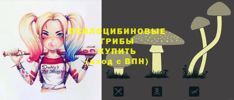 Псилоцибиновые грибы Magic Shrooms  Лесосибирск 